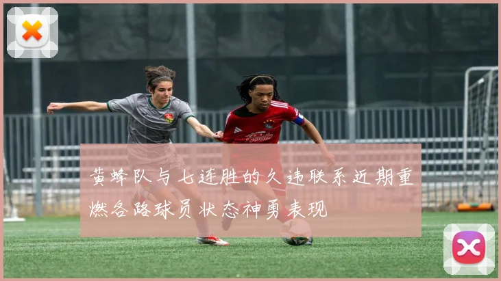 黄蜂队与七连胜的久违联系近期重燃各路球员状态神勇表现