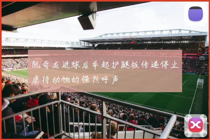 阮奇龙进球后举起护腿板传递停止虐待动物的强烈呼声